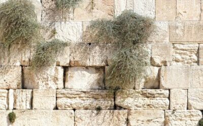 10 Reasons to Spend 10-Months in Israel