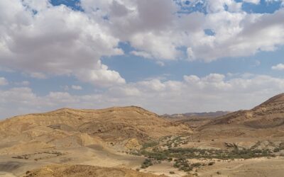 Experiencing the Negev